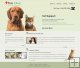 Pets-3